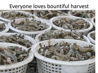 Everyone loves bountiful harvest
 