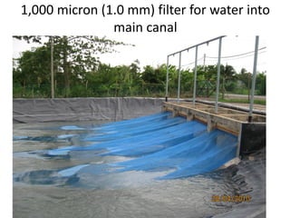 1,000 micron (1.0 mm) filter for water into
main canal
 