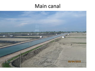 Main canal
 