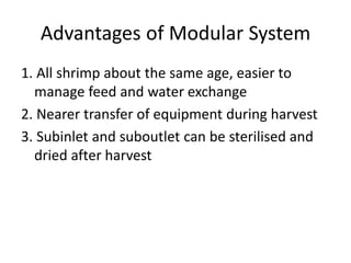 Advantages of Modular System
1. All shrimp about the same age, easier to
manage feed and water exchange
2. Nearer transfer of equipment during harvest
3. Subinlet and suboutlet can be sterilised and
dried after harvest
 