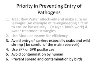 Priority in Preventing Entry of
Pathogens
1. Treat Raw Water effectively and make sure no
leakages (An example of re-engineering a farm
to ensure biosecurity – Dr Nyan Taw’s work) &
water treatment strategies
2. Use Modular system for efficiency
3. Avoid entry of carriers especially crabs and wild
shrimp ( be careful of the main reservoir)
4. Use SPF or SPR postlarvae
5. Avoid contamination by human
6. Prevent spread and contamination by birds
 
