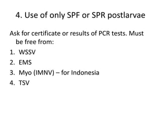 4. Use of only SPF or SPR postlarvae
Ask for certificate or results of PCR tests. Must
be free from:
1. WSSV
2. EMS
3. Myo (IMNV) – for Indonesia
4. TSV
 