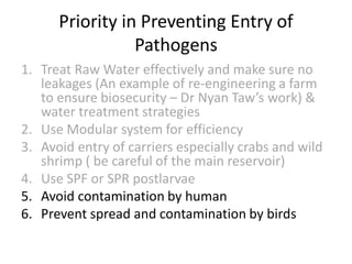 Priority in Preventing Entry of
Pathogens
1. Treat Raw Water effectively and make sure no
leakages (An example of re-engineering a farm
to ensure biosecurity – Dr Nyan Taw’s work) &
water treatment strategies
2. Use Modular system for efficiency
3. Avoid entry of carriers especially crabs and wild
shrimp ( be careful of the main reservoir)
4. Use SPF or SPR postlarvae
5. Avoid contamination by human
6. Prevent spread and contamination by birds
 