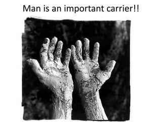 Man is an important carrier!!
 