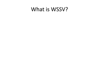 What is WSSV?
 