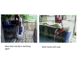 Wear boot and dip in sterilising
agent
Wash hands with soap
 