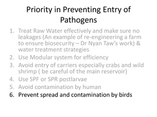 Priority in Preventing Entry of
Pathogens
1. Treat Raw Water effectively and make sure no
leakages (An example of re-engineering a farm
to ensure biosecurity – Dr Nyan Taw’s work) &
water treatment strategies
2. Use Modular system for efficiency
3. Avoid entry of carriers especially crabs and wild
shrimp ( be careful of the main reservoir)
4. Use SPF or SPR postlarvae
5. Avoid contamination by human
6. Prevent spread and contamination by birds
 