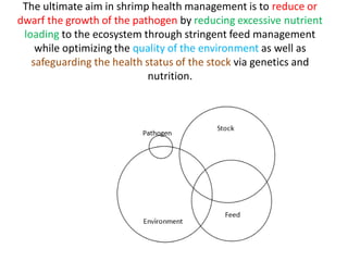 The ultimate aim in shrimp health management is to reduce or
dwarf the growth of the pathogen by reducing excessive nutrient
loading to the ecosystem through stringent feed management
while optimizing the quality of the environment as well as
safeguarding the health status of the stock via genetics and
nutrition.
 