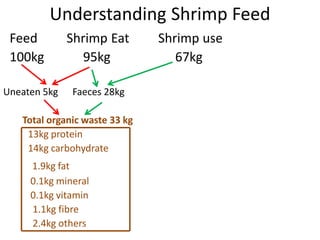 Understanding Shrimp Feed
Feed Shrimp Eat Shrimp use
100kg 95kg 67kg
Uneaten 5kg Faeces 28kg
Total organic waste 33 kg
13kg protein
14kg carbohydrate
1.9kg fat
0.1kg mineral
0.1kg vitamin
1.1kg fibre
2.4kg others
 