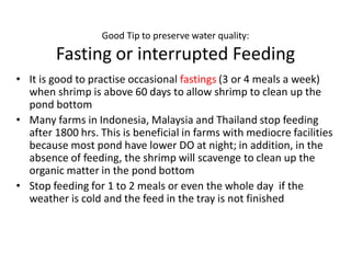 Good Tip to preserve water quality:
Fasting or interrupted Feeding
• It is good to practise occasional fastings (3 or 4 meals a week)
when shrimp is above 60 days to allow shrimp to clean up the
pond bottom
• Many farms in Indonesia, Malaysia and Thailand stop feeding
after 1800 hrs. This is beneficial in farms with mediocre facilities
because most pond have lower DO at night; in addition, in the
absence of feeding, the shrimp will scavenge to clean up the
organic matter in the pond bottom
• Stop feeding for 1 to 2 meals or even the whole day if the
weather is cold and the feed in the tray is not finished
 