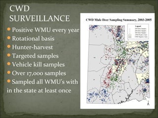 Wildlife Disease & Deer — Dec. 2010 Board Meeting | PPT