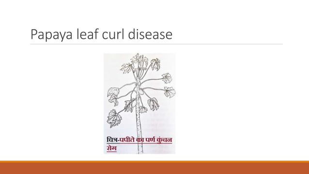 Disease diagrams.pptx