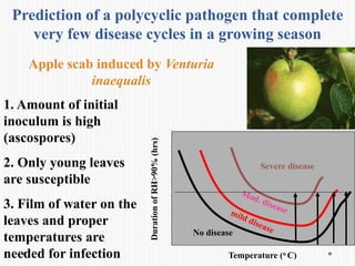 Temperature (o C)
DurationofRH>90%(hrs)
No disease
Severe disease
Apple scab induced by Venturia
inaequalis
1. Amount of initial
inoculum is high
(ascospores)
2. Only young leaves
are susceptible
3. Film of water on the
leaves and proper
temperatures are
needed for infection
Prediction of a polycyclic pathogen that complete
very few disease cycles in a growing season
 