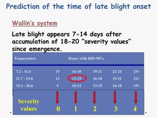 Prediction of the time of late blight onset
Wallin’s system
Late blight appears 7-14 days after
accumulation of 18-20 “severity values”
since emergence.
Temperature Hours with RH>90%
7.2 - 11.6
11.7 - 15.0
15.1 - 26.6
15
12
9
16-18
13-15
10-12
19-21
16-18
13-15
22-24
19-21
16-18
25+
22+
19+
Severity
values 0 1 2 3 4
 