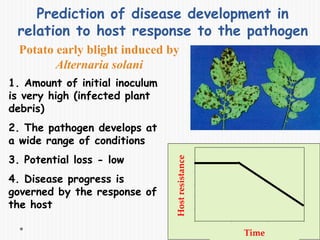 Time
Hostresistance
1. Amount of initial inoculum
is very high (infected plant
debris)
2. The pathogen develops at
a wide range of conditions
3. Potential loss - low
4. Disease progress is
governed by the response of
the host
Prediction of disease development in
relation to host response to the pathogen
Potato early blight induced by
Alternaria solani
 