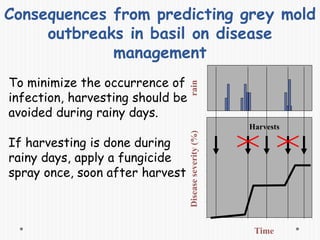 Consequences from predicting grey mold
outbreaks in basil on disease
management
Time
Diseaseseverity(%)rain
Harvests
If harvesting is done during
rainy days, apply a fungicide
spray once, soon after harvest
To minimize the occurrence of
infection, harvesting should be
avoided during rainy days.
 