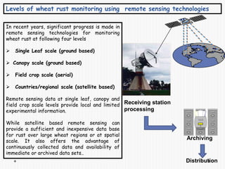 Receiving station
processing
Archiving
Distribution
Levels of wheat rust monitoring using remote sensing technologies
In recent years, significant progress is made in
remote sensing technologies for monitoring
wheat rust at following four levels
 Single Leaf scale (ground based)
 Canopy scale (ground based)
 Field crop scale (aerial)
 Countries/regional scale (satellite based)
Remote sensing data at single leaf, canopy and
field crop scale levels provide local and limited
experimental information.
While satellite based remote sensing can
provide a sufficient and inexpensive data base
for rust over large wheat regions or at spatial
scale. It also offers the advantage of
continuously collected data and availability of
immediate or archived data sets..
 