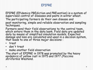 EPIPRE
EPIPRE (EPidemics PREdiction and PREvention) is a system of
supervised control of diseases and pests in winter wheat.
The participating farmers do their own disease and
pest monitoring, simple and reliable observation and sampling
techniques.
Farmers send their field observations to the central team,
which enters them in the data bank. Field data are updated
daily by means of simplified simulation models. Expected
damage and loss are calculated and used in a decision system,
that leads to one of three major decisions :
• treat
• don't treat
• make another field observation
The start of EPIPRE in 1978 was promoted by the heavy
epidemics of yellow rust in 1975 and 1977 (Puccinia
striiformis Westend.
 