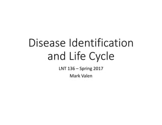 Disease Identification 
and Life Cycle
LNT 136 – Spring 2017
Mark Valen
 