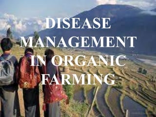 DISEASE
MANAGEMENT
IN ORGANIC
FARMING
 
