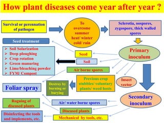 Fym Insect DISEASE MANAGEMENT JAF RK DE 2019.ppt