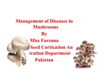 Management of Diseases in
Mushrooms
By
Miss Farzana
Federal Seed Cortication And
Registration Department
Pakistan
 