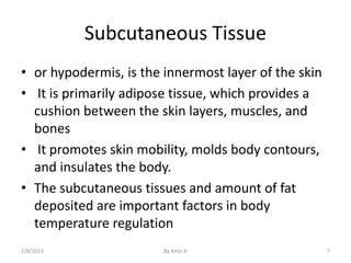Subcutaneous Tissue
• or hypodermis, is the innermost layer of the skin
• It is primarily adipose tissue, which provides a...