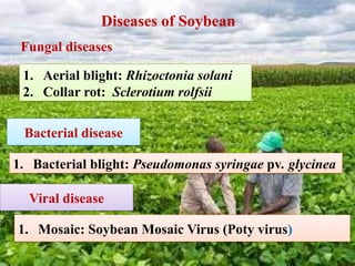Comprehensive Overview of Soybean and Pulse Crop Diseases and Their ...