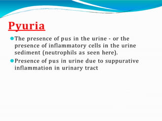 Disease of Urinary System.pptx