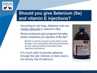 Selenium Injection Cattle Disease & Parasite Control in Small Ruminants: Applied Solutions | PPTX