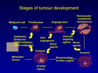 Stages of tumour development
Malignant cell
Dissemination
of other organs
Invasion
Proliferation Angiogenesis
Neovascular
endothelial
maintenance
Invasion
Cytotoxics
Endocrine
EGFR inhibitors
HER2 antibodies
Anti-
angiogenics
Vascular
targeting
agents Novel
agents
Novel
agents
Metastatic
Cancer
of other
organs
 