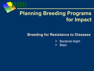 Planning Breeding Programs
for Impact
Breeding for Resistance to DiseasesBreeding for Resistance to Diseases
 Bacterial blight
 Blast
 