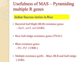 Disease resistance rice | PPTX