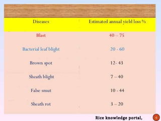 Disease resistance rice | PPTX