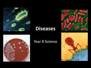 Diseases Year 8 Science 
