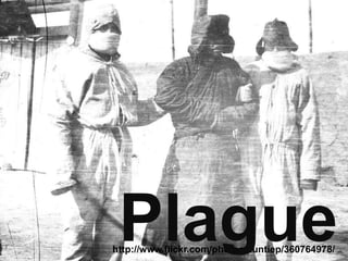 Plague
http://www.flickr.com/photos/auntiep/360764978/
 