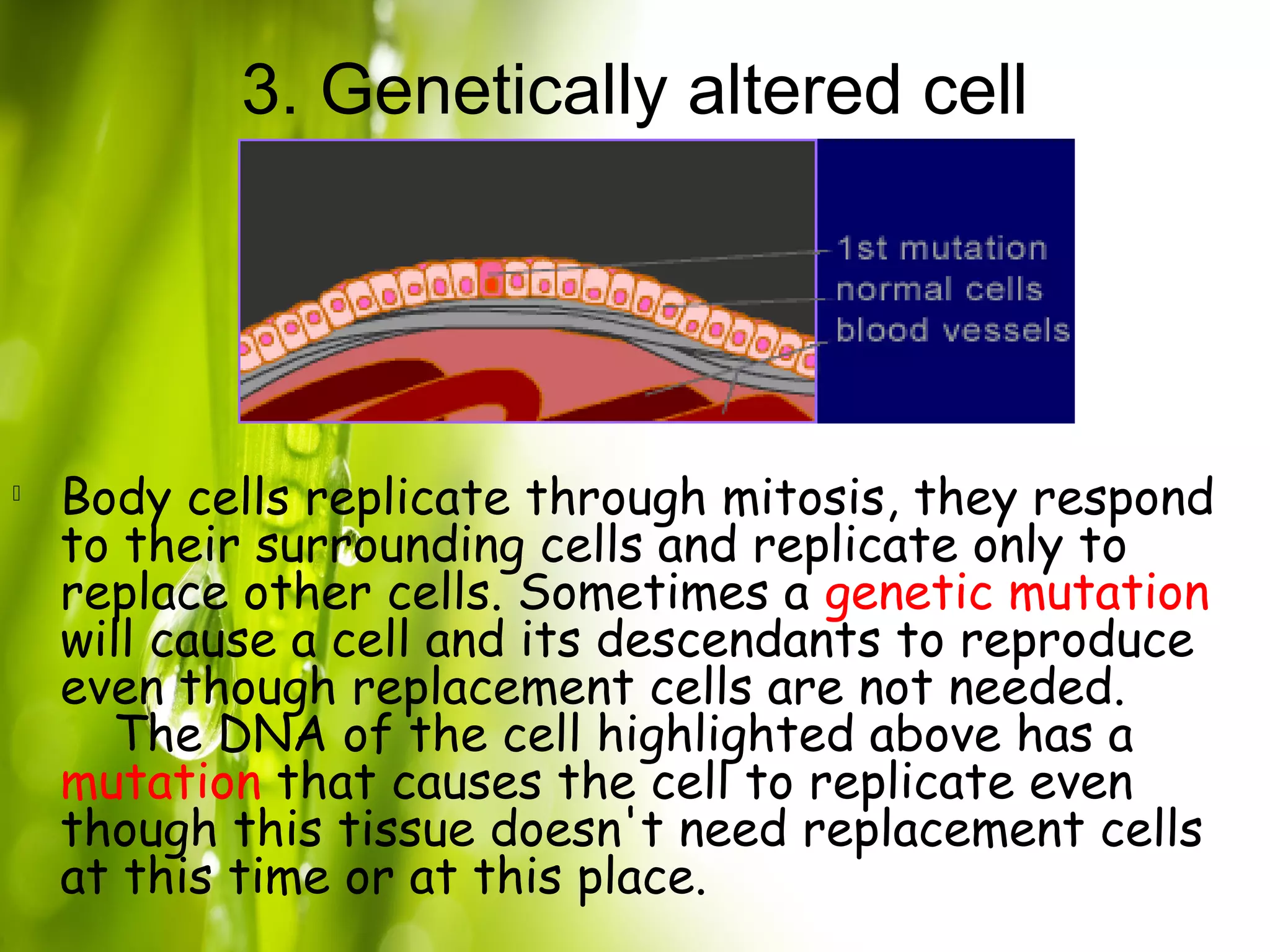 Diseases | PPT