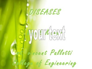DISEASES
Vivek Kumar
st. vincent Pallotti
College of Engineering

 