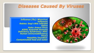 Diseases Caused By Viruses
Influenza (flu): Mixovirus
Influenza
Rabies: Dog’s Bite infected
Saliva
Polio: Entera Virus
AIDS( Acquired Immuno
Deficiency Syndrome): HIV(
Human Immunodeficiency
Virus)
Hepatitis/Jaundice:
Contaminated food and water