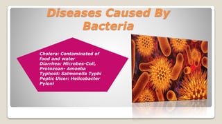 Diseases Caused By
Bacteria
Cholera: Contaminated of
food and water
Diarrhea: Microbes-Coli,
Protozoan- Amoeba
Typhoid: Salmonella Typhi
Peptic Ulcer: Helicobacter
Pyloni