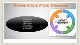 Preventions From Diseases
Awareness
Hygiene
Sanitation
Vaccination
Immunization
Good Diet