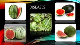 DISEASES
by
More Deepali
 
