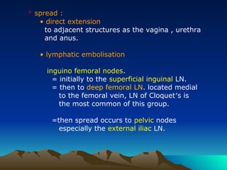 * spread :
• direct extension
to adjacent structures as the vagina , urethra
and anus.
• lymphatic embolisation
inguino femoral nodes.
= initially to the superficial inguinal LN.
= then to deep femoral LN. located medial
to the femoral vein, LN of Cloquet′s is
the most common of this group.
=then spread occurs to pelvic nodes
especially the external iliac LN.
 
