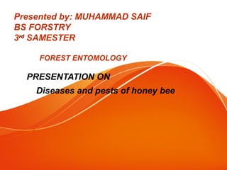 Presented by: MUHAMMAD SAIF
BS FORSTRY
3rdrd
SAMESTER
FOREST ENTOMOLOGY
PRESENTATION ON
Diseases and pests of honey bee
 