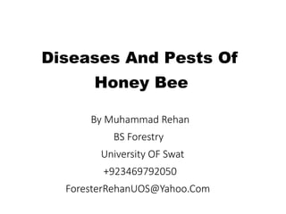 Diseases And Pests Of
Honey Bee
By Muhammad Rehan
BS Forestry
University OF Swat
+923469792050
ForesterRehanUOS@Yahoo.Com
 