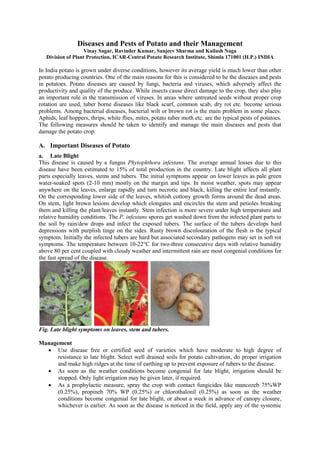 Diseases and Pests of Potato and their Management
Vinay Sagar, Ravinder Kumar, Sanjeev Sharma and Kailash Naga
Division of Plant Protection, ICAR-Central Potato Research Institute, Shimla 171001 (H.P.) INDIA
In India potato is grown under diverse conditions, however its average yield is much lower than other
potato producing countries. One of the main reasons for this is considered to be the diseases and pests
in potatoes. Potato diseases are caused by fungi, bacteria and viruses, which adversely affect the
productivity and quality of the produce. While insects cause direct damage to the crop, they also play
an important role in the transmission of viruses. In areas where untreated seeds without proper crop
rotation are used, tuber borne diseases like black scurf, common scab, dry rot etc. become serious
problems. Among bacterial diseases, bacterial wilt or brown rot is the main problem in some places.
Aphids, leaf hoppers, thrips, white flies, mites, potato tuber moth etc. are the typical pests of potatoes.
The following measures should be taken to identify and manage the main diseases and pests that
damage the potato crop.
A. Important Diseases of Potato
a. Late Blight
This disease is caused by a fungus Phytophthora infestans. The average annual losses due to this
disease have been estimated to 15% of total production in the country. Late blight affects all plant
parts especially leaves, stems and tubers. The initial symptoms appear on lower leaves as pale green
water-soaked spots (2-10 mm) mostly on the margin and tips. In moist weather, spots may appear
anywhere on the leaves, enlarge rapidly and turn necrotic and black, killing the entire leaf instantly.
On the corresponding lower side of the leaves, whitish cottony growth forms around the dead areas.
On stem, light brown lesions develop which elongates and encircles the stem and petioles breaking
them and killing the plant/leaves instantly. Stem infection is more severe under high temperature and
relative humidity conditions. The P. infestans spores get washed down from the infected plant parts to
the soil by rain/dew drops and infect the exposed tubers. The surface of the tubers develops hard
depressions with purplish tinge on the sides. Rusty brown discolouration of the flesh is the typical
symptom. Initially the infected tubers are hard but associated secondary pathogens may set in soft rot
symptoms. The temperature between 10-22°C for two-three consecutive days with relative humidity
above 80 per cent coupled with cloudy weather and intermittent rain are most congenial conditions for
the fast spread of the disease.
Fig. Late blight symptoms on leaves, stem and tubers.
Management
 Use disease free or certified seed of varieties which have moderate to high degree of
resistance to late blight. Select well drained soils for potato cultivation, do proper irrigation
and make high ridges at the time of earthing up to prevent exposure of tubers to the disease.
 As soon as the weather conditions become congenial for late blight, irrigation should be
stopped. Only light irrigation may be given later, if required.
 As a prophylactic measure, spray the crop with contact fungicides like mancozeb 75%WP
(0.25%), propineb 70% WP (0.25%) or chlorothalonil (0.25%) as soon as the weather
conditions become congenial for late blight, or about a week in advance of canopy closure,
whichever is earlier. As soon as the disease is noticed in the field, apply any of the systemic
 