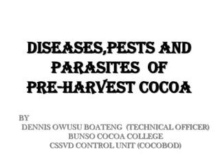 DISEASES,PESTS AND PARASITES  OF  PRE-HARVEST COCOA BY DENNIS OWUSU BOATENG  (TECHNICAL OFFICER) BUNSO COCOA COLLEGE CSSVD CONTROL UNIT (COCOBOD) 
