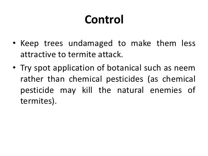 Brush Script Mt Cyrillic