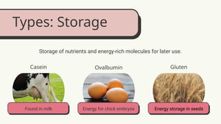 Understanding the Structure of Macromolecules and Their Impact on ...