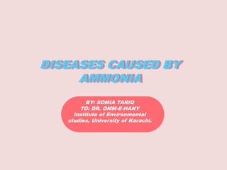 DISEASES CAUSED BY
AMMONIA
DISEASES CAUSED BY
AMMONIA
DISEASES CAUSED BY
AMMONIA
BY: SOMIA TARIQ
TO: DR. OMM-E-HANY
Institute of Environmental
studies, University of Karachi.
 